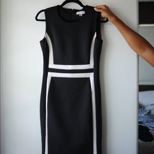 Calvin Klein Black & White Professional Dress